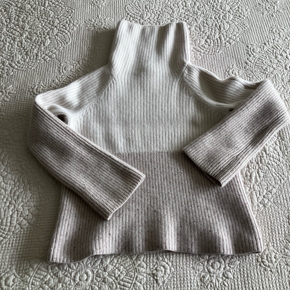 Ann Taylor Sweaters - Ann Taylor ribbed heavy gauge 2 toned wide turtleneck